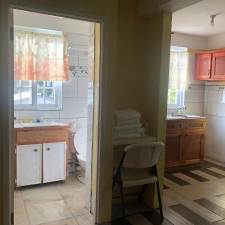 Sea World Vacation Home Roseau Extérieur photo