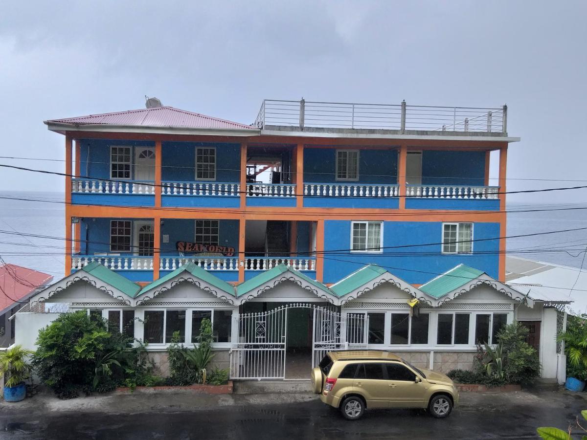 Sea World Vacation Home Roseau Extérieur photo