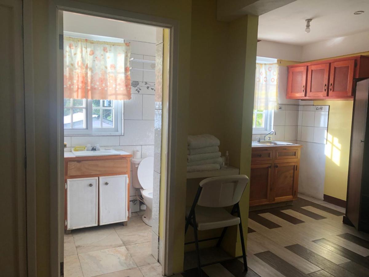 Sea World Vacation Home Roseau Extérieur photo